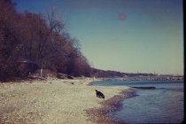 View north along the beach